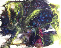 marine creatures