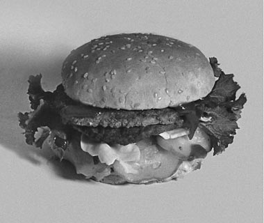 hamburger