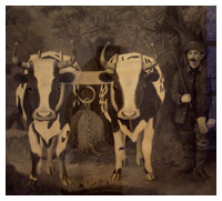 Artist Unknown, Man with Team of Oxen